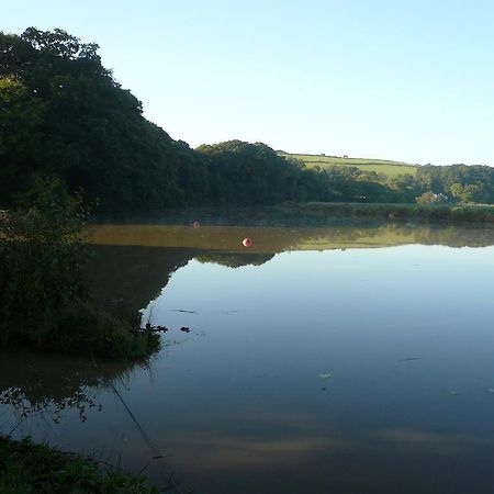 Rumleigh Farm Bere Alston Екстериор снимка