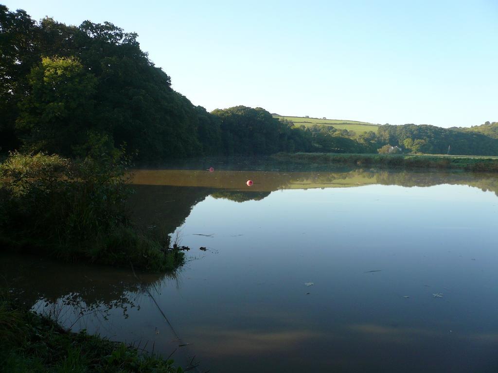 Rumleigh Farm Bere Alston Екстериор снимка